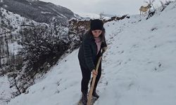 Erzincan’ın Yüksek Kesimleri Beyaza Büründü