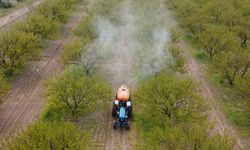 B-Reçete ile Zirai İlaçlar Tarladan Sofraya İzlenecek