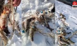 Baraj Suyu Çekildi, Balık Ağları Ortaya Çıktı