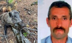 Kemah’ta Domuz Saldırısı; 1 Kişi Hayatını Kaybetti