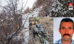 Jandarma Domuz Saldırısı İle İlgili İnceleme Başlattı