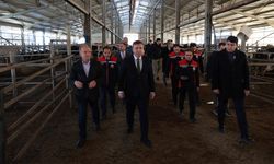 Üzümlü’de TKDK Desteğiyle Modernleşen Süt Tesisi Yerinde İncelendi