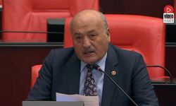 Milletvekili Karaman TBMM’de Konuştu