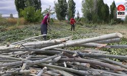 Kömür Pahalı, Odun Umut: Erzincan Kırsalında Kış Mesaisi