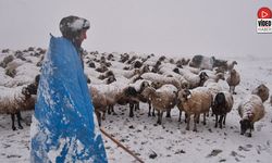 Erzincan Yaylalarından Köylere Uzanan Zorlu Kış Mesaisi