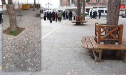 Kuş Pislikleri Arasında Cenaze Namazı!