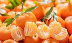 Mandalina Fiyat Farkında Rekor Kırdı