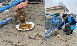 Erzincan’da Soğuk Havalara Rağmen Kalpler Sıcacık