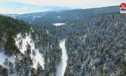Erzincan’ın Doğa Harikası Dumanlı Beyaza Büründü