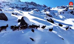 Erzincan Her Mevsim Bir Farklı Güzel