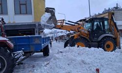 Tercan'da kar temizliği, Girlevik'te buz sarkıtları oluştu