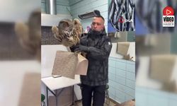 Erzincan'da Soğuktan Bitkin Düşen Baykuş Vatandaşların Duyarlılığıyla Kurtarıldı