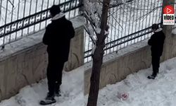 Dondurucu Soğukta Kuşlara Umut Olan Koca Yürekli Çocuk