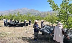 Erzincan’da %70 Hibeli Anahtar Teslim Bahçeler Kurulacak