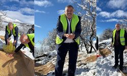 Cimin’de Doğadaki Canlılara Yem Desteği