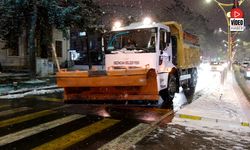 Belediye Ekiplerinden Yoğun Karla Mücadele Çalışması