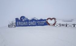 Ergan Dağı'nda Kar Kartpostallık Manzara Oluşturdu