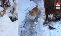 Soğuk Kış Günlerinde Yürek Isıtan Görüntüler