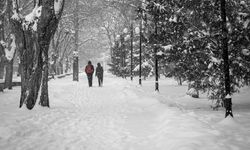 Bu Yıl Yağan Kar Masum Değil: Uzmanlar Uyarıyor