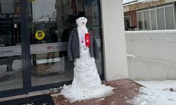 Kardan Adam Bu Kez Ev Almaya Geldi