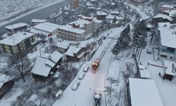 Kemaliye Güne Karla Uyandı