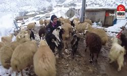 Erzincan Köylerinde Kış Mesaisi