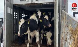 Erzincan DSYB'den Hayvancılığa Destek