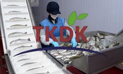 TKDK Erzincan’dan IPARD III 10. Başvuru Çağrısı İçin Tarih Güncellemesi