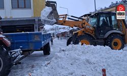 Tercan'da Kar Temizliği, Girlevik'te Buz Sarkıtları Oluştu