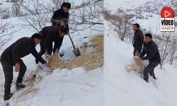 Kemah’ta Yaban Hayvanları İçin Doğaya Yem Bırakıldı