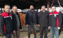 Erzincan’da Kesimhanelerde Yeni Dönem