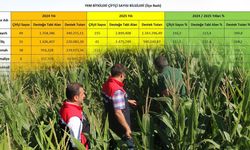 Erzincan’da Yem Bitkilerinde Rekor Artış!