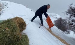 Üzümlü’de Yaban Hayata Anlamlı Destek