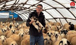 Kemah'ta Genç Yetiştiricinin Örnek Üretimi