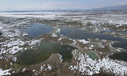 Ekşisu Kuş Cenneti'nde doğa drone ile kaydedildi