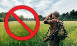 Türkiye Genelinde Av Yasağı Başladı