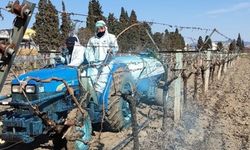 Bordo Bulamacı İçin Doğru Zaman Uyarısı