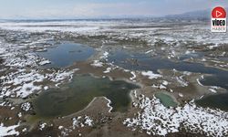 Ekşisu Kuş Cenneti'nde Doğa Drone İle Kaydedildi