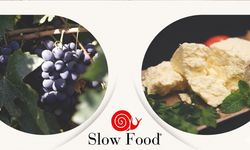 Erzincan’ın İki Yerel Lezzeti “Slow Food Ark of Taste”te
