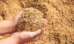 TMO'dan Hububat Satışı Uyarısı