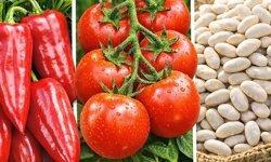 Tarımda Hibe Desteği İçin Başvurular 1 Nisan’a Kadar