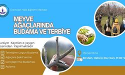 "Meyve Ağaçlarında Budama ve Terbiye" Kursu