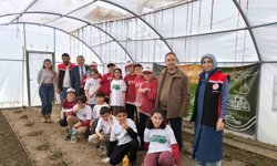 Demirkent TOKİ İlkokulu'nda öğrenciler serada fide dikti