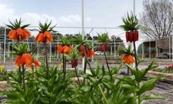 Ters Laleyi Koparmanın Cezası 700 Bin Lira