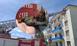 Çatıya Takılan Kuşu İtfaiye Kurtardı