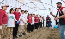 Demirkent TOKİ İlkokulu'nda Öğrenciler Serada Fide Dikti