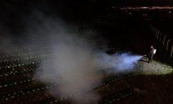 Erzincan'da Çiftçiler Ürünlerini Dumanlama Yöntemi İle Korudu