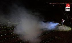 Erzincan'da Çiftçiler Ürünlerini Dumanlama Yöntemi İle Korudu