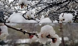 Erzincan'da Nisan’da Sıcaklıklar Eksiye Düştü