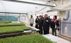 Fide Üretiminde Zirve Erzincan'ın